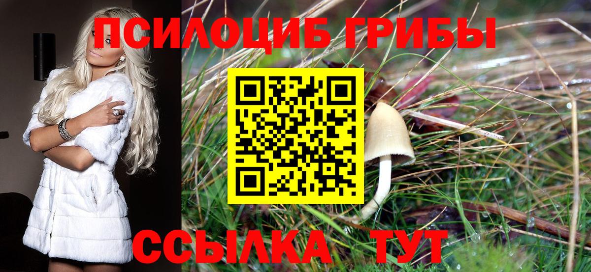 Галлюциногенные грибы Magic Shrooms Можга