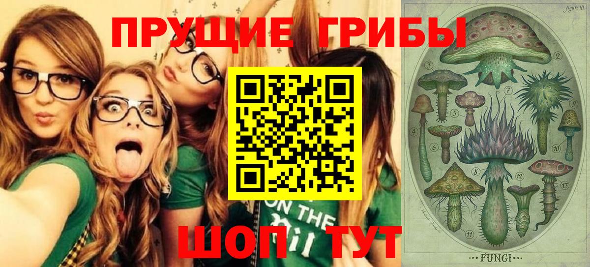 Можга  Галлюциногенные грибы мицелий  Вход с VPN  Псилоцибиновые грибы мицелий 